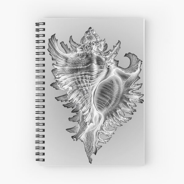 Item preview, Whelk Sea Snail Shell designed and sold by andreisky.