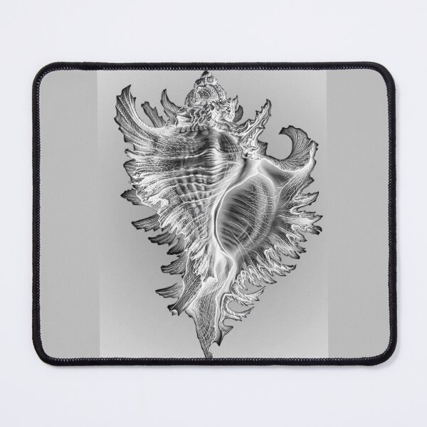 Item preview, Whelk Sea Snail Shell designed and sold by andreisky.