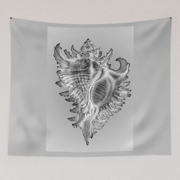 Item preview, Whelk Sea Snail Shell designed and sold by andreisky.