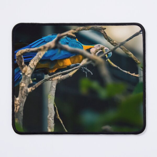 Item preview, Handmade Baxter aClay Stories designed and sold by vlikdon.