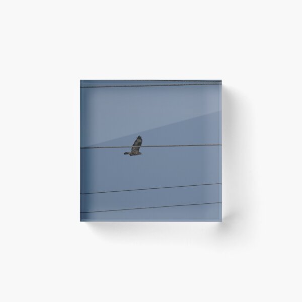 Item preview, Frozen reality - Beautiful nature 1146 designed and sold by deep-sea-birds.