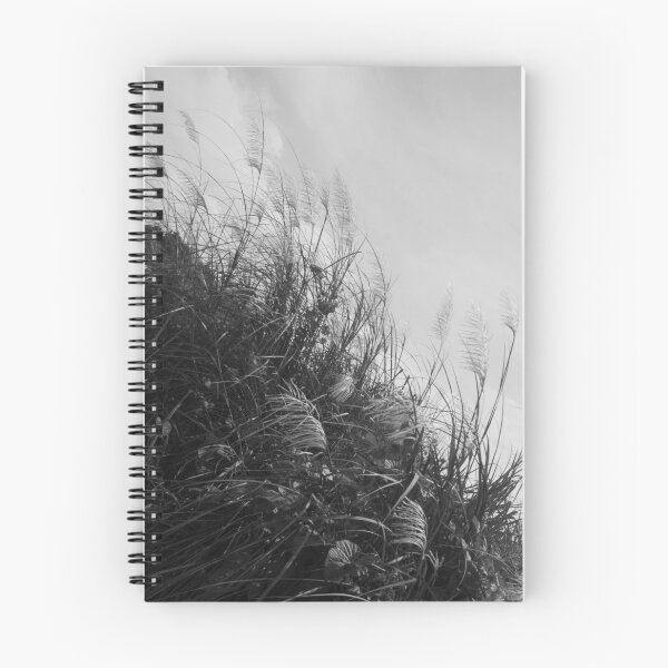 Item preview, B&W - Miscanthus sinensis designed and sold by ROSE ANN BANILAR.