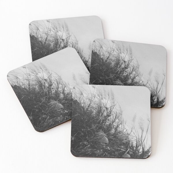 Item preview, B&W - Miscanthus sinensis designed and sold by ROSE ANN BANILAR.