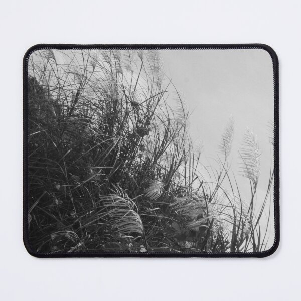 Item preview, B&W - Miscanthus sinensis designed and sold by ROSE ANN BANILAR.