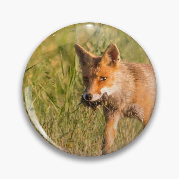 Item preview, Bringing Food Home – Red Fox designed and sold by gabormedve.