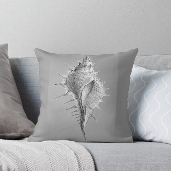 Item preview, Murex Seashell #3 designed and sold by andreisky.