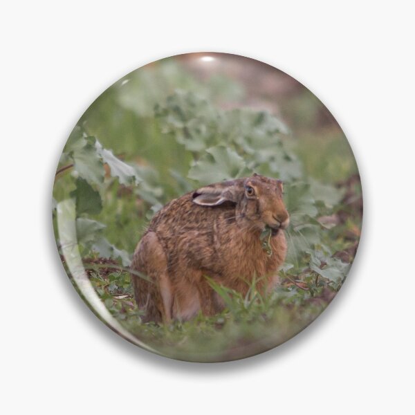 Item preview, Two European Hares in the Field designed and sold by gabormedve.