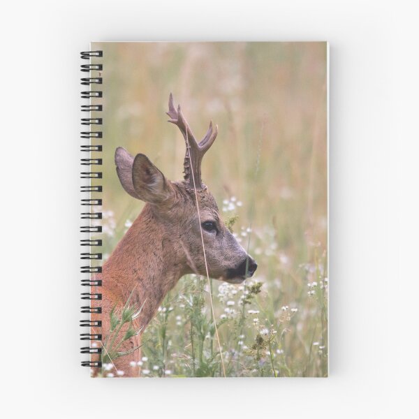 Item preview, Roe Deer Buck Among Wildflowers designed and sold by gabormedve.