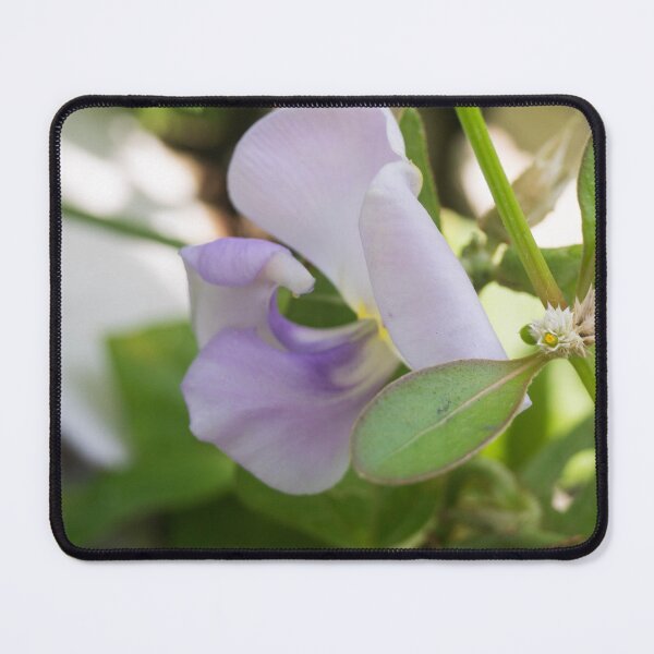 Item preview, cowpea flower designed and sold by ROSE ANN BANILAR.
