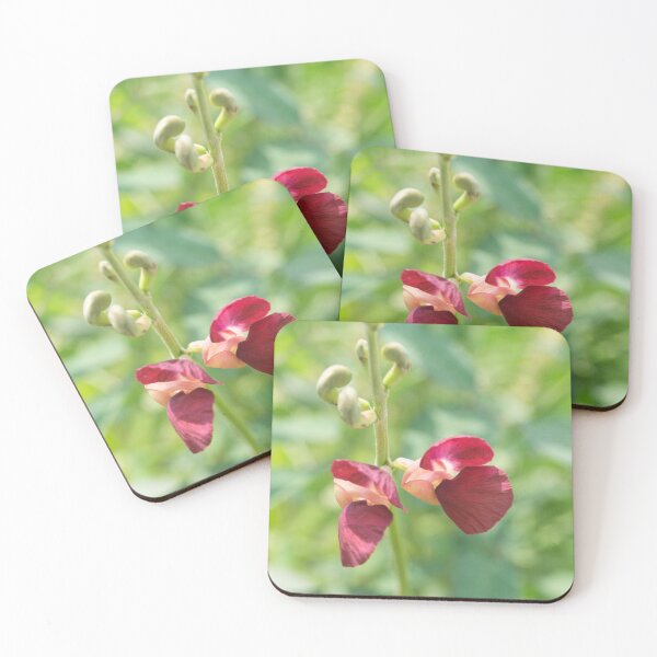 Item preview, Bean Flowers designed and sold by ROSE ANN BANILAR.