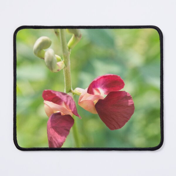 Item preview, Bean Flowers designed and sold by ROSE ANN BANILAR.