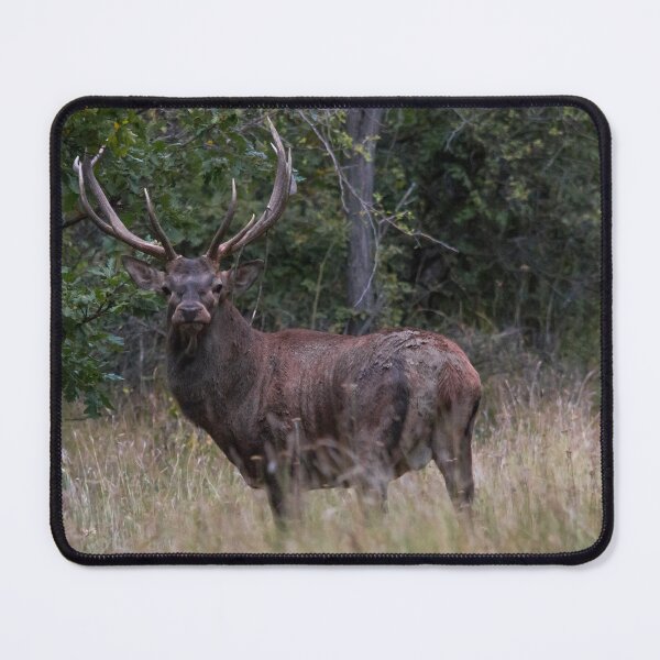 Item preview, Red Deer Stag at the Forest Edge designed and sold by gabormedve.