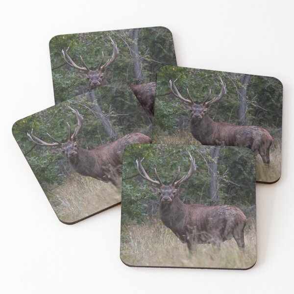 Item preview, Red Deer Stag at the Forest Edge designed and sold by gabormedve.