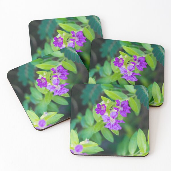 Item preview, Mexican heather (or false heather) designed and sold by ROSE ANN BANILAR.