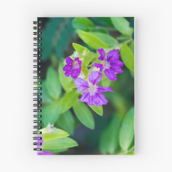 Item preview, Mexican heather (or false heather) designed and sold by ROSE ANN BANILAR.