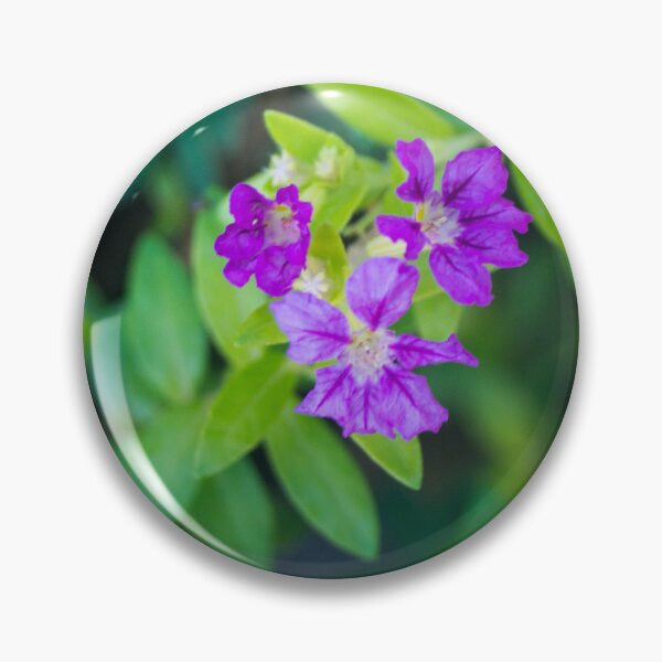 Item preview, Mexican heather (or false heather) designed and sold by ROSE ANN BANILAR.