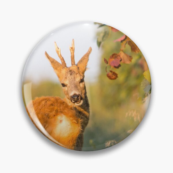 Item preview, Roe Deer Buck in the Vineyard designed and sold by gabormedve.