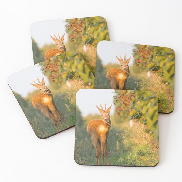 Item preview, Roe Deer Buck in the Vineyard designed and sold by gabormedve.
