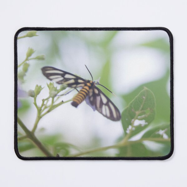 Item preview, Hübner's Wasp Moth (Amata huebneri) designed and sold by ROSE ANN BANILAR.