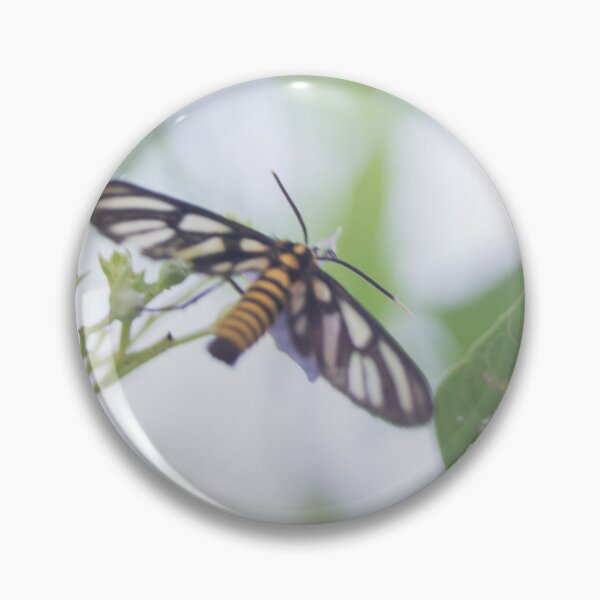 Item preview, Hübner's Wasp Moth (Amata huebneri) designed and sold by ROSE ANN BANILAR.