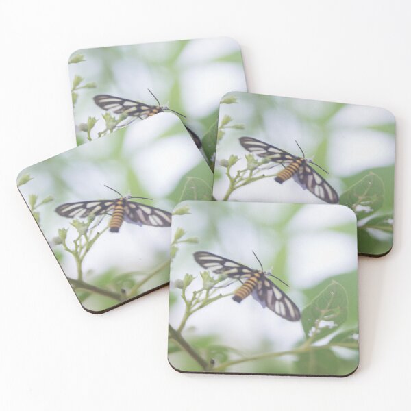 Item preview, Hübner's Wasp Moth (Amata huebneri) designed and sold by ROSE ANN BANILAR.
