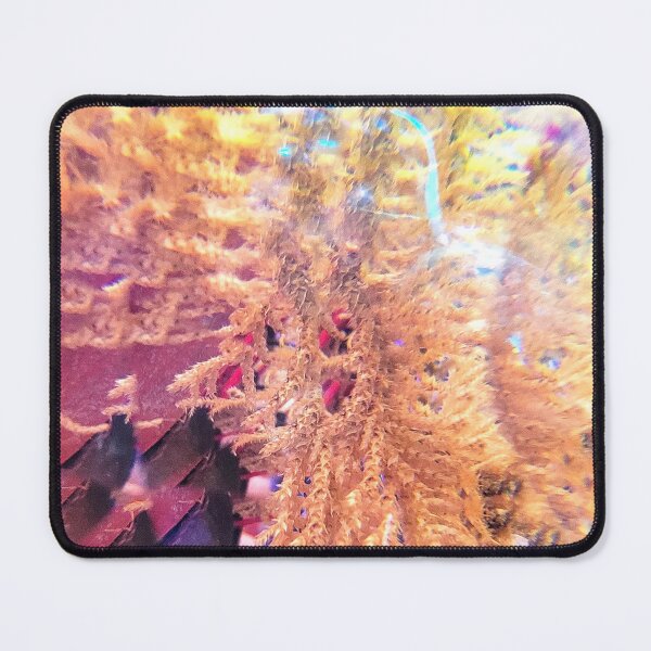 Item preview, Moss & Blue Sky Window: Magnificent Harmony & Golden Light designed and sold by ElionSolis.