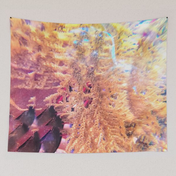 Item preview, Moss & Blue Sky Window: Magnificent Harmony & Golden Light designed and sold by ElionSolis.