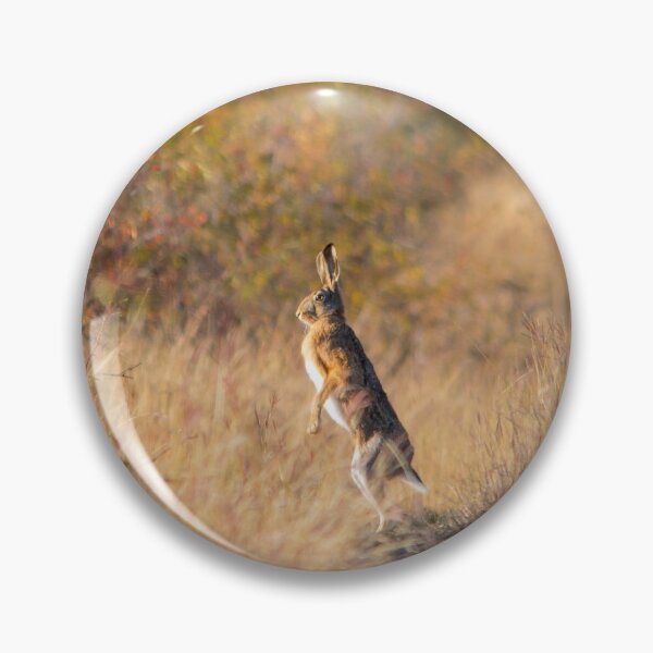 Item preview, Hare in the Autumn Landscape designed and sold by gabormedve.