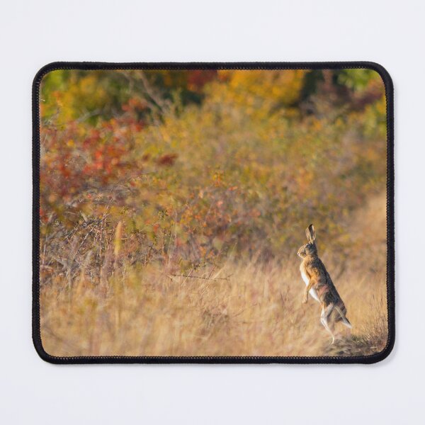 Item preview, Hare in the Autumn Landscape designed and sold by Medve Photography & Design.