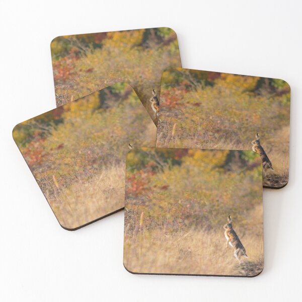 Item preview, Hare in the Autumn Landscape designed and sold by Medve Photography & Design.