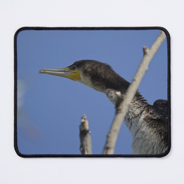 Item preview, Frozen reality - Beautiful nature 1159 designed and sold by deep-sea-birds.