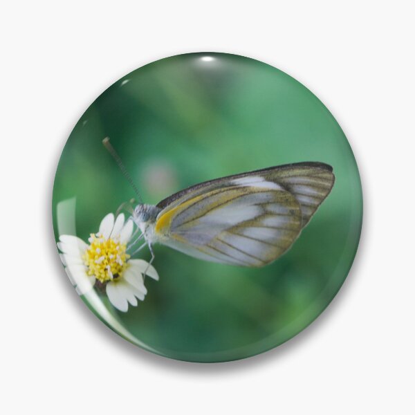 Item preview, female Striped Albatross butterfly designed and sold by ROSE ANN BANILAR.