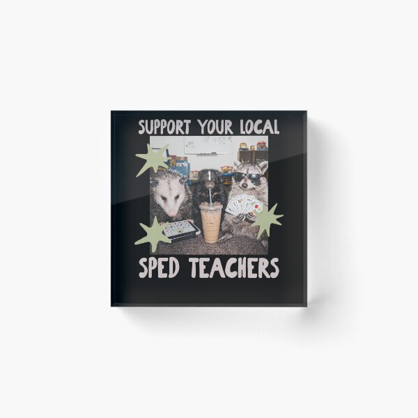 Item preview, Funny Support Your Local Sped Teachers Raccoon Possum Skunk designed and sold by Alzasshop.