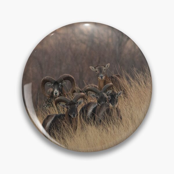 Item preview, Mouflon Herd on the Hillside designed and sold by gabormedve.