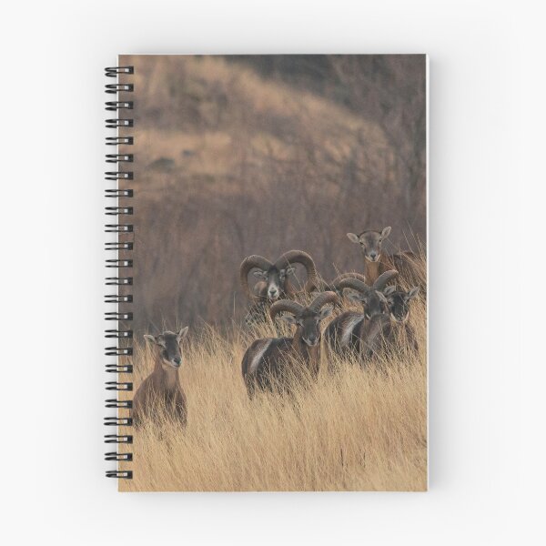 Item preview, Mouflon Herd on the Hillside designed and sold by gabormedve.