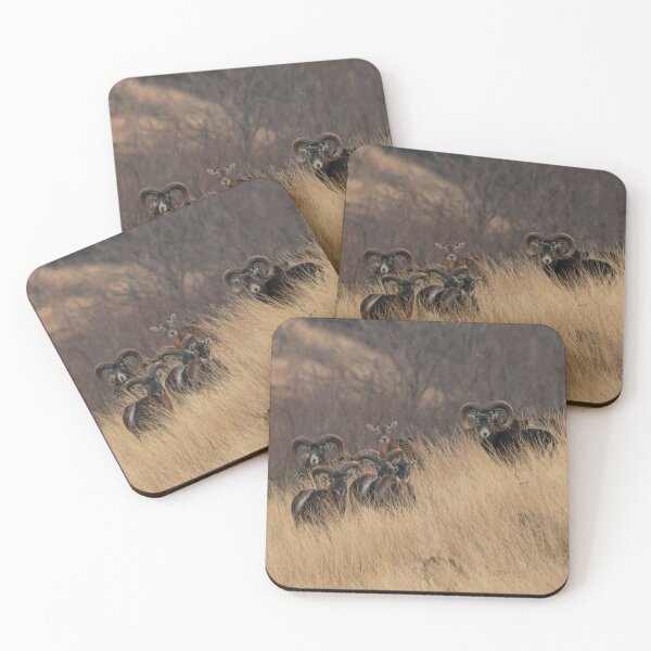 Item preview, Mouflon Herd on the Hillside designed and sold by Medve Photography & Design.