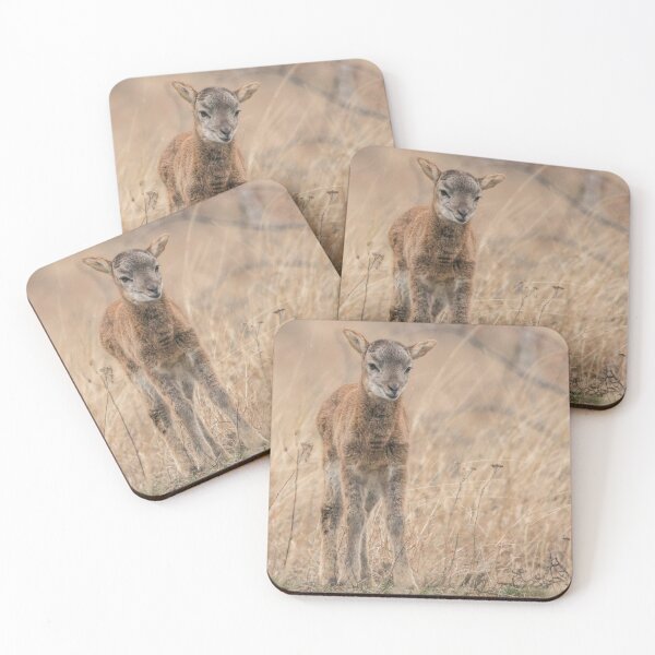 Item preview, Young Mouflon in Dry Grass designed and sold by Medve Photography & Design.