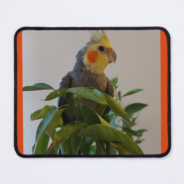 Item preview, Cute Cockatile Parrot in Green Leaves designed and sold by ObjectAndNature.
