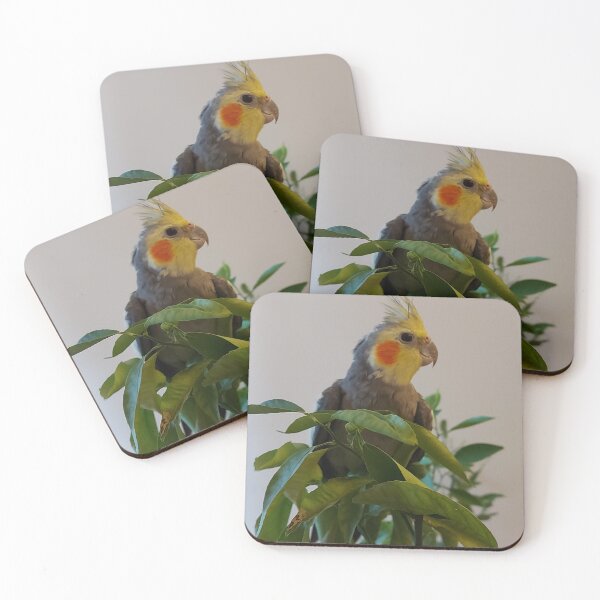 Item preview, Cute Cockatile Parrot in Green Leaves designed and sold by ObjectAndNature.