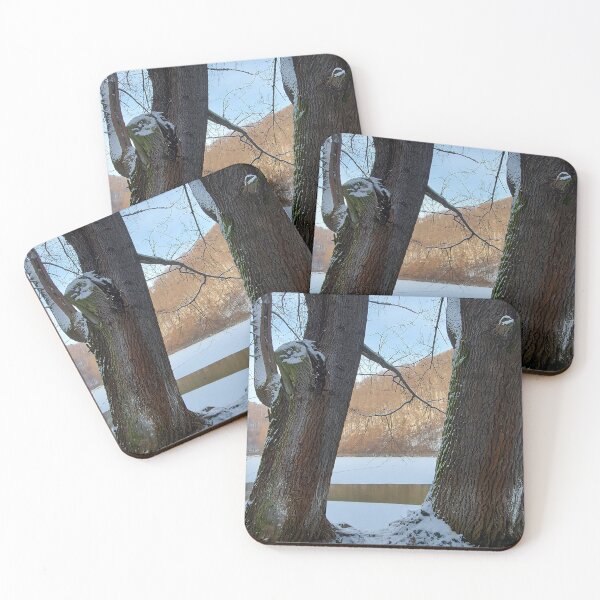 Item preview, Winter Forest Framed by Twin Trees designed and sold by ObjectAndNature.