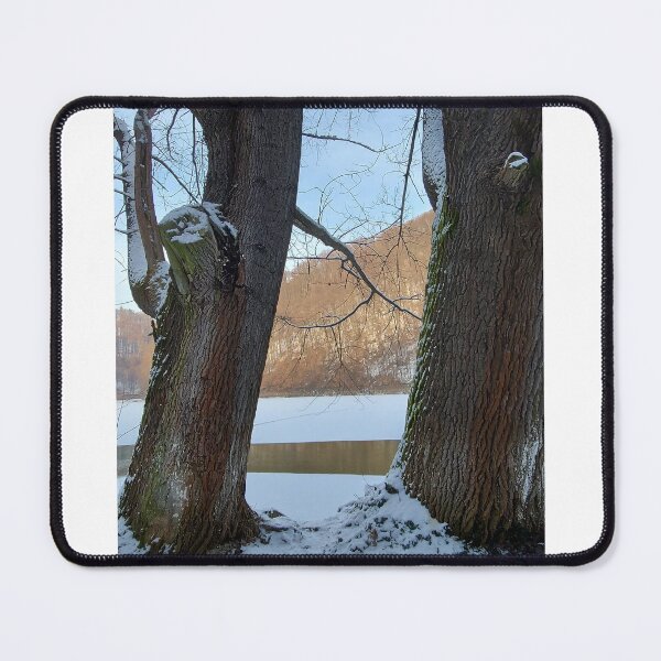 Item preview, Winter Forest Framed by Twin Trees designed and sold by ObjectAndNature.