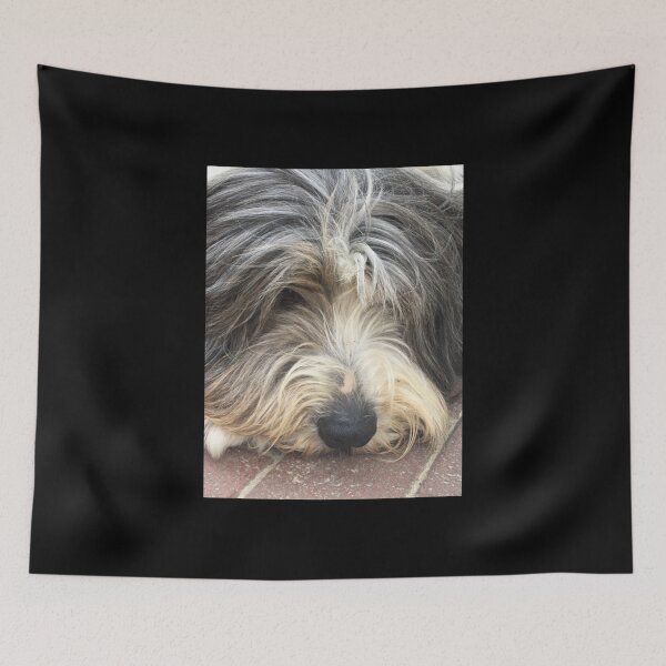 Item preview, Bearded Collie Nap Time - Always got one eye open just in case! Chiffon Top designed and sold by kieuthuyok.