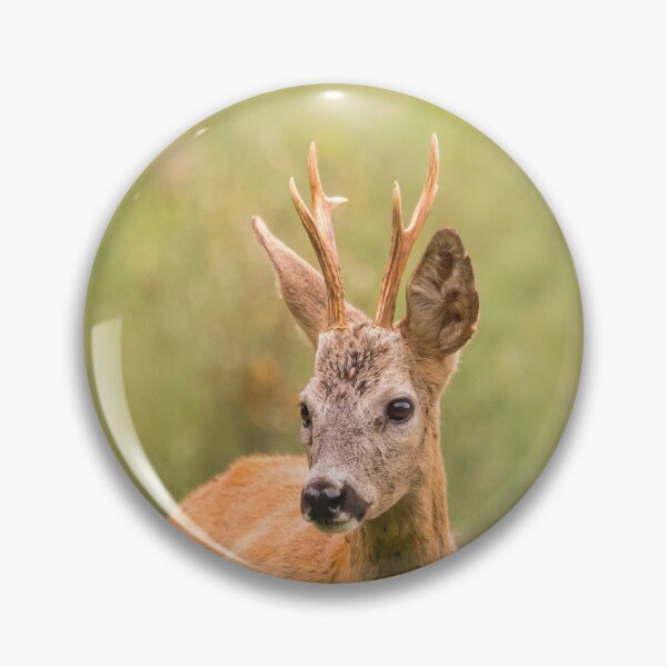 Item preview, Roe Deer Buck in Summer Meadow designed and sold by Medve Photography & Design.