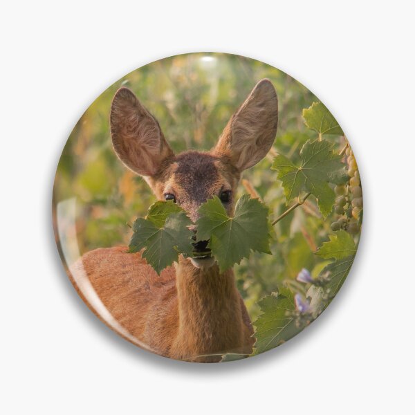 Item preview, Roe Deer Playing Hide and Seek designed and sold by Medve Photography & Design.