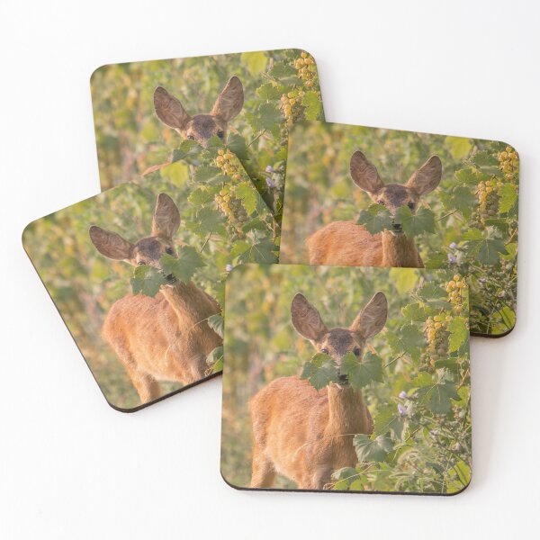 Item preview, Roe Deer Playing Hide and Seek designed and sold by gabormedve.