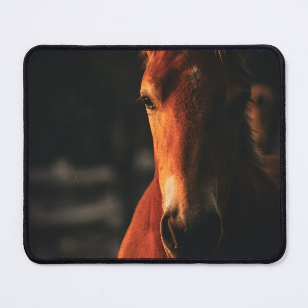 Item preview, Chestnut Horse Portrait Golden Hour Equestrian Photography designed and sold by wildsilencee.
