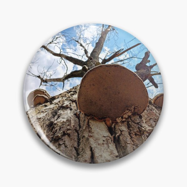 Item preview, Shelf mushroom on dead tree trunk designed and sold by Peter-Mahr.