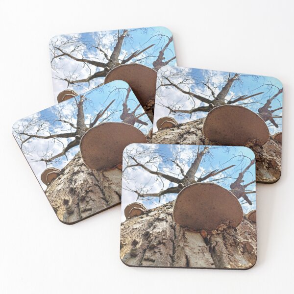 Item preview, Shelf mushroom on dead tree trunk designed and sold by Peter-Mahr.