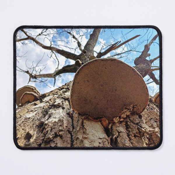 Item preview, Shelf mushroom on dead tree trunk designed and sold by Peter-Mahr.