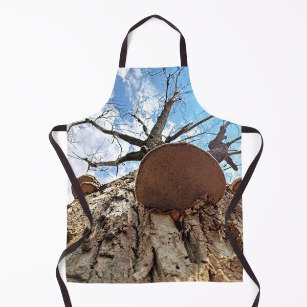 Item preview, Shelf mushroom on dead tree trunk designed and sold by Peter-Mahr.